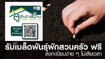 รับเมล็ดพันธุ์ผักสวนครัว ฟรี ! ลงทะเบียนไม่ยาก