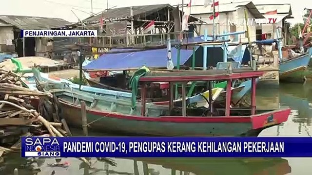 Terdampak Corona, Nelayan dan Pengupas Kerang di Muara Angke Kini Tak Punya Penghasilan