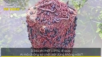 Những hình ảnh cho thấy thiên nhiên đôi khi cũng chẳng khác nào phim kinh dị