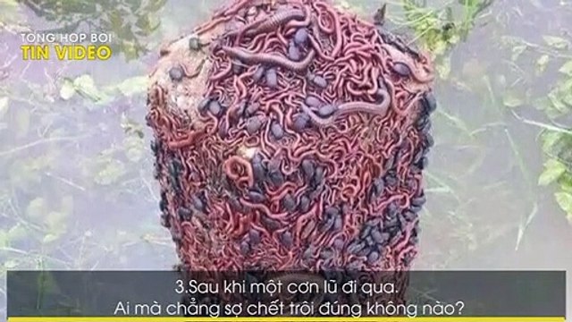 Những hình ảnh cho thấy thiên nhiên đôi khi cũng chẳng khác nào phim kinh dị