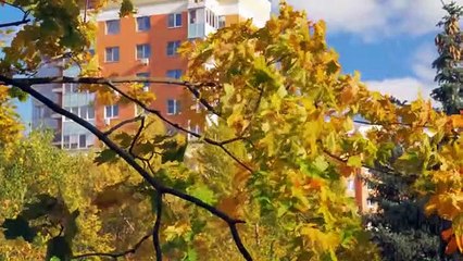 مواضيع مثيرة ومدهشة تحدث في هذا العالم فعلا -