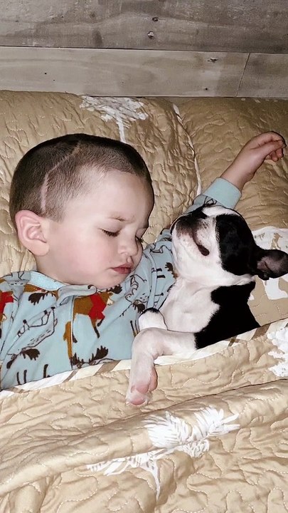 Cuddles and Snores While Snoozing With Special Friend