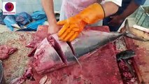 how to cutting fish show  || Amazing Tuna Big Fish Cutting ||Tuna Fish Cutting Show || Fish Cutting||