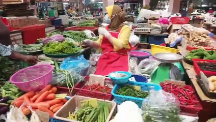 http://eastcoast.chinapress.com.my/管制令蔬菜减