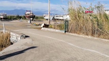 MUĞLA Kümese dadanan yaban kurdu güvenlik kamerasından tespit edildi