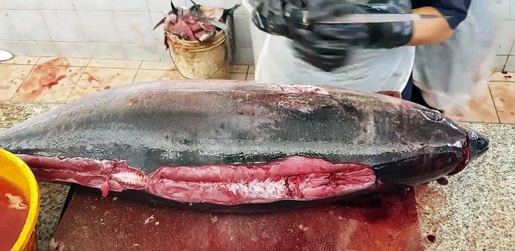 Giant Tuna Fish Cutting Skills Live।How to Cutting Tuna Fish by Knife।Giant Bluefin Tuna Fish Cutting।Fish Cutting Fastest Ways।How to Cutting Giant Tuna Fish।Fish Cutting Super Skills।Giant Yellowfin Tuna Fish Cutting।Fish Cutting Skills 2020