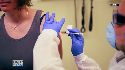 Aux quatre coins du monde, laboratoires, hôpitaux travaillent pour trouver un vaccin contre le covid