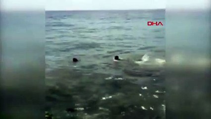 Polis denize atlayarak intihar girişiminde bulunan kadını kurtardı