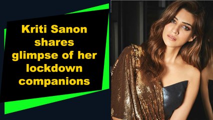 Kriti Sanon shares glimpse of her lockdown companions