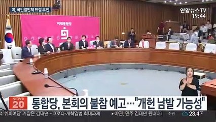 민주, 국민 발안제 개헌안 본회의 추진…통합당 반대