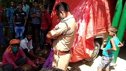 सीतापुर- घर में घुसा जंगली हिरन गांव में कौतूहल का विषय