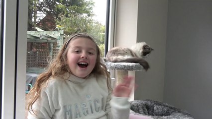 Isabella Mostrando seu Bichinho de Estimação