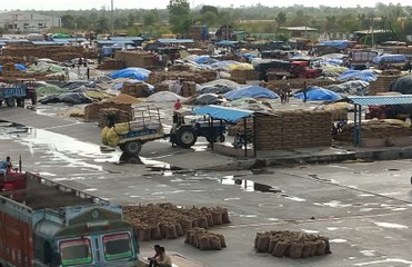 Bundi mandi