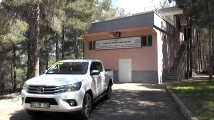 Tedavisi tamamlanan 3 şahin ve 1 Mısır akbabası doğaya bırakıldı