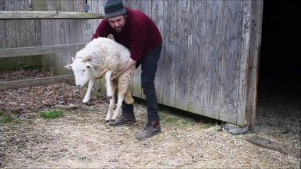 Pip Gets Her Vitamins