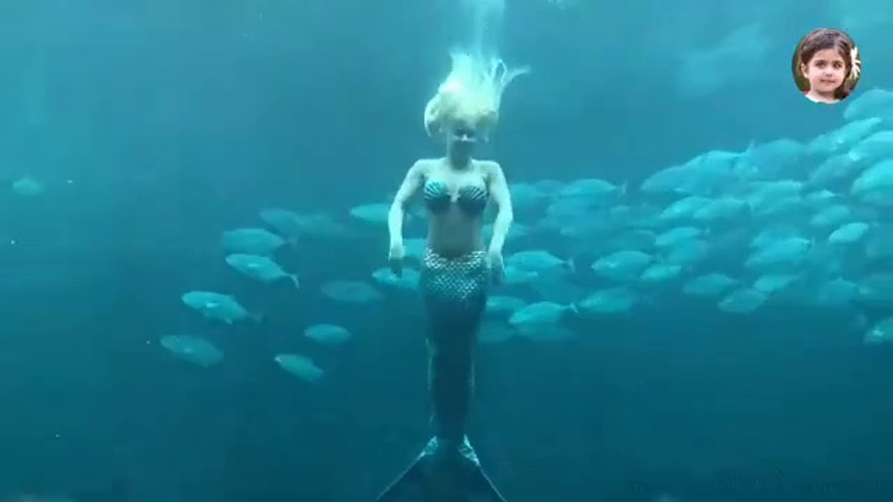 একুইরিয়ামে মৎস্যকন্যা -- Mermaid In Fish Tank Aquarium