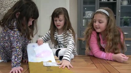 Sophia, Isabellae Alice na Competição d Perguntas e Respostas