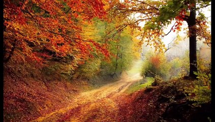 Gunotroy_Humanity Deep in Mind