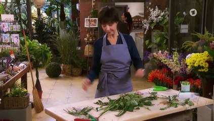 Rote Rosen Folge 3122 Der Überfall