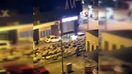 Vanlı besici koyun sürüsünü şehir merkezinden geçirdi; para cezası kesildi