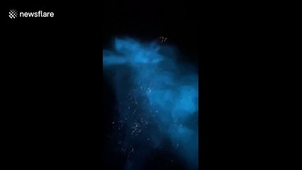 Californian man gets first-hand experience with ethereal bioluminescence