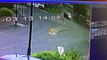 CCTV footage of crash on  Hylton Castle Road, Sunderland