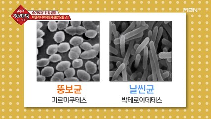 유산균이 정말 다이어트에 도움이 될까?