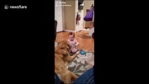 Best friends! Baby girl spoon feeds her dog while playing together
