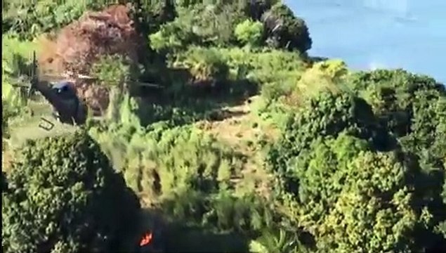 POLÍCIA FEDERAL ERRADICA 57 MIL PÉS DE MACONHA EM SALGUEIRO