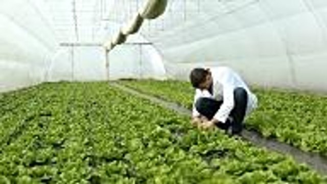 USDA to Purchase $470 Million in Surplus Food for Food Banks