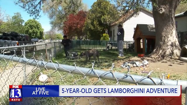 Un jour après avoir volé le SUV de la famille, un garçon de cinq ans fait un tour en Lamborghini