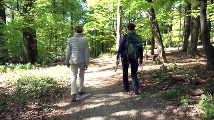 Hotspot Theaterschule: Wunderwaldwanderung!