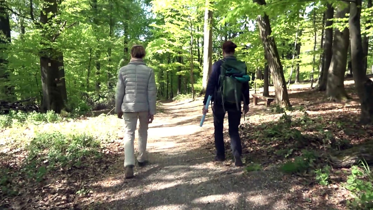 Hotspot Theaterschule: Wunderwaldwanderung!