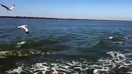 Saint Martin Island-Bangladesh