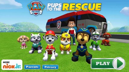 Paw Patrol Mission Paw - PAW Patrol Pups to the Rescue