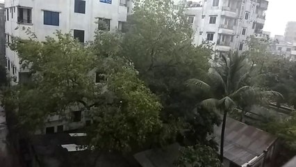 Morning Rain - Gentle Rain sound
