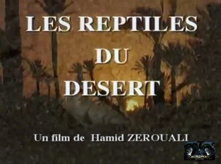 Reptiles et cobras dans le désert - Documentaire COMPLET