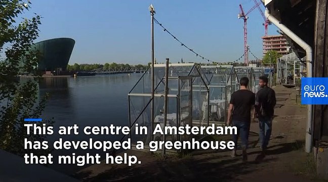 Coronavirus: Amsterdam art centre uses greenhouses to offer outdoor eating amid COVID-19 pandemic