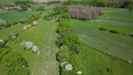 Les villageois se battent pour sauver le sentier n°3, à Lesve