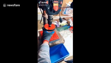 Illinois family goes viral on TikTok repurposing rosé wine bottles