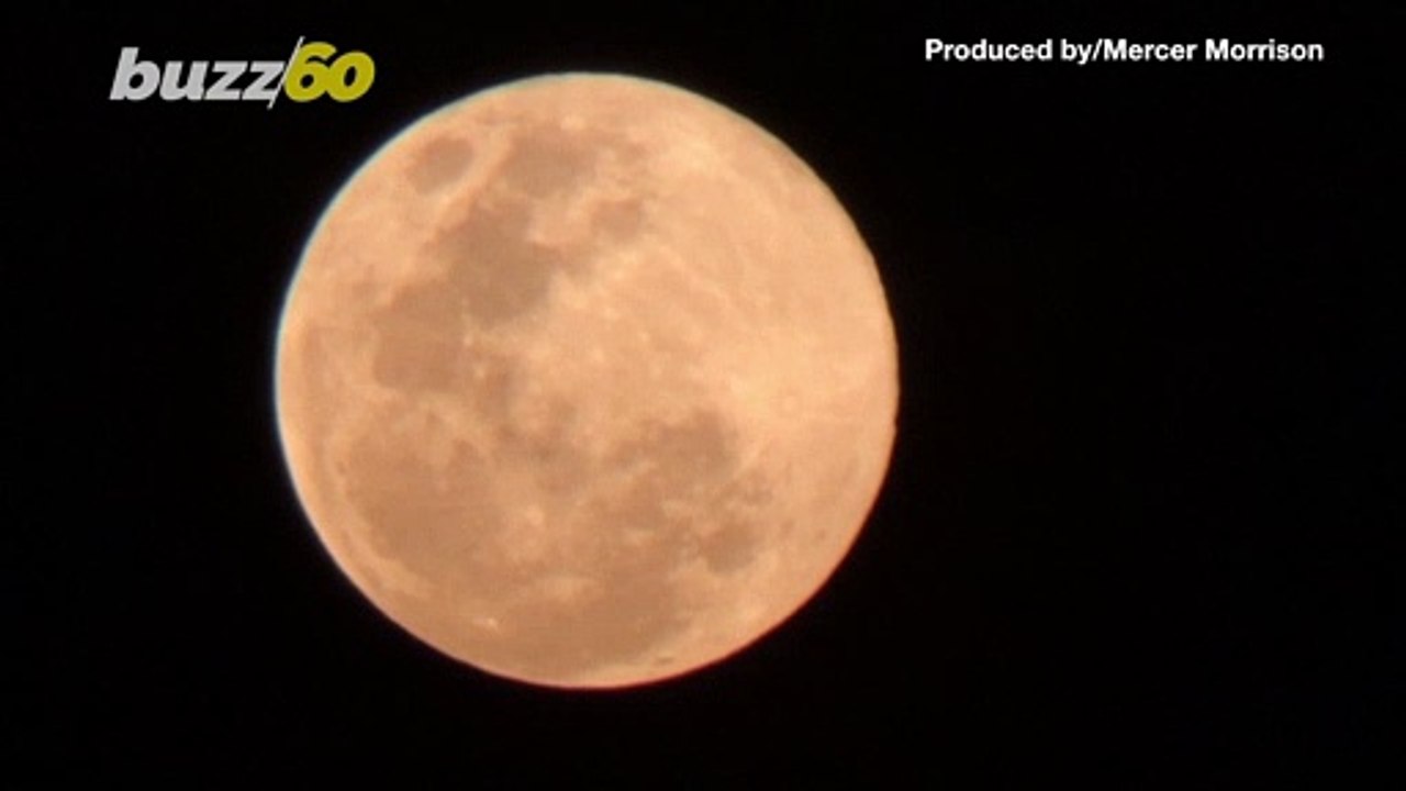 Check Out Footage of the Last Supermoon of 2020 Hovering Over Singapore's Night Sky!