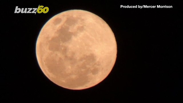 Check Out Footage of the Last Supermoon of 2020 Hovering Over Singapore's Night Sky!