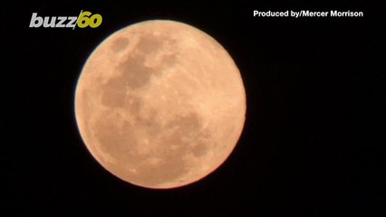 Check Out Footage of the Last Supermoon of 2020 Hovering Over Singapore's Night Sky!
