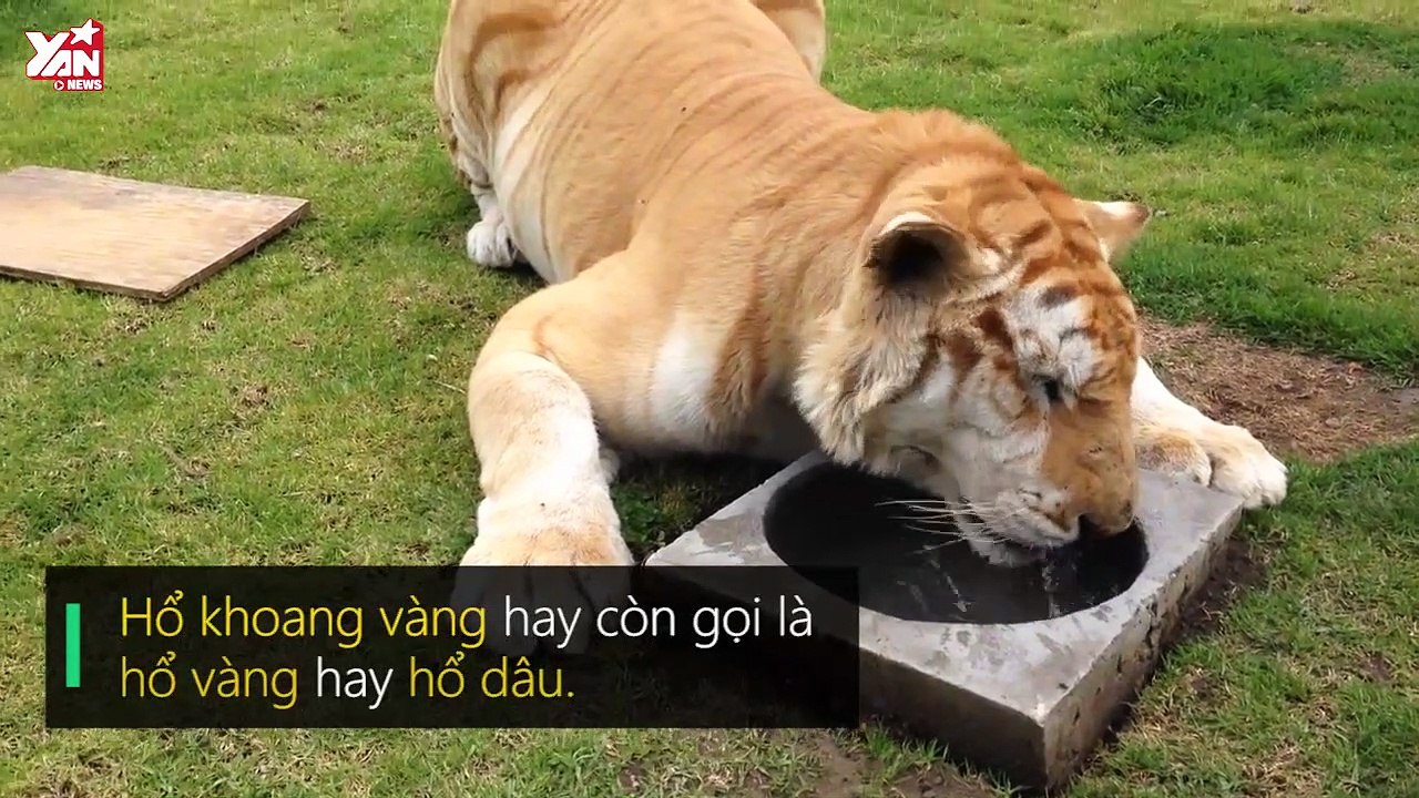 10 tấm ảnh chứng minh thế giới này có rất nhiều điều mà ta chưa biết