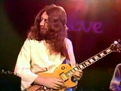 Steve Hillage - Hurdy Gurdy Man