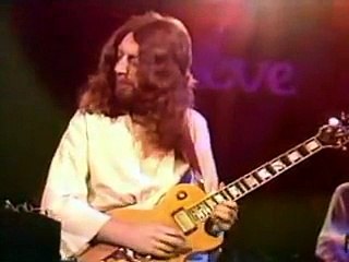 Steve Hillage - Hurdy Gurdy Man