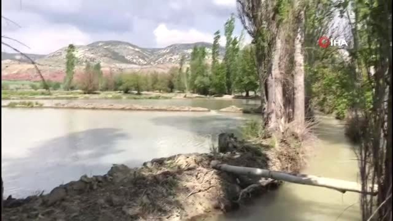 Ankara'da tek Nallıhan'da yapılan çeltik ekimi başladı