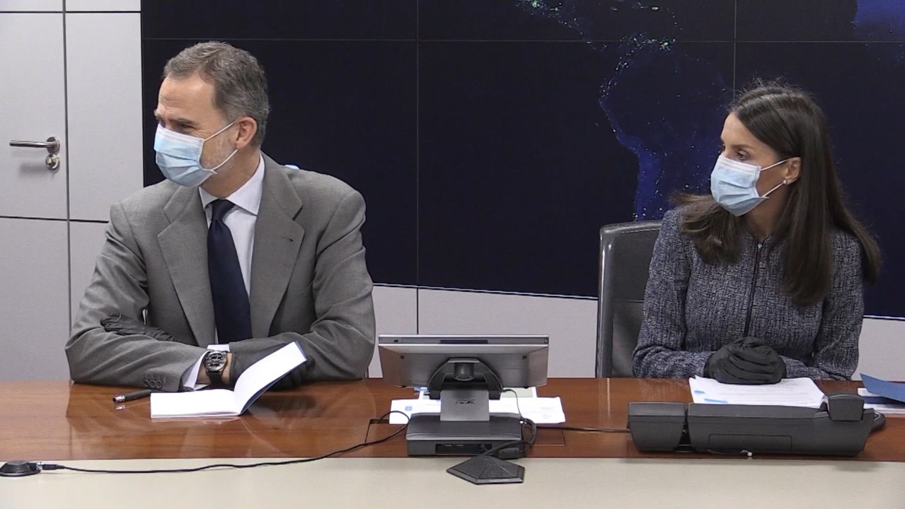 Los Reyes salen de Palacio para visitar la REE