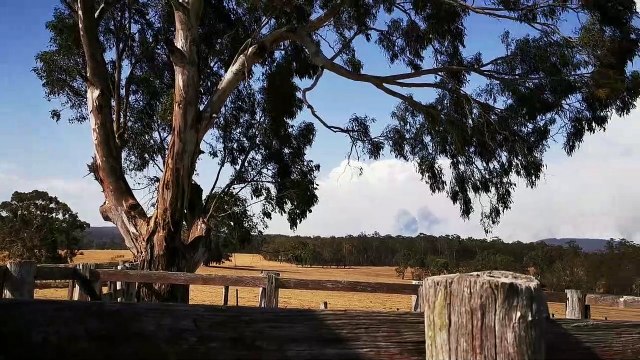 Huge Pyro-Cumulus Storm Cloud Generated by Bushfire Smoke