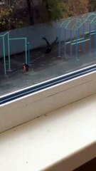 Man Flips Too Hard on Hanging Bar